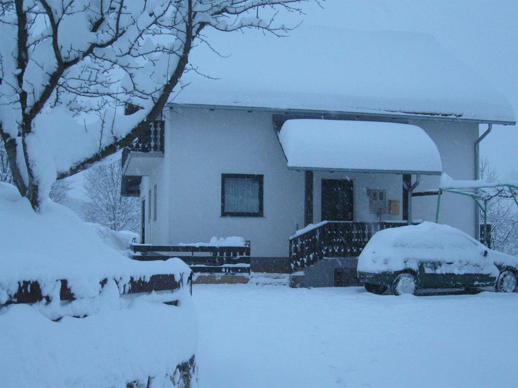 Apartments Dale Smoljanac Exterior foto