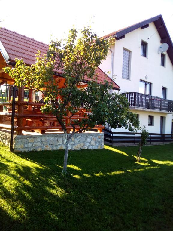 Apartments Dale Smoljanac Exterior foto